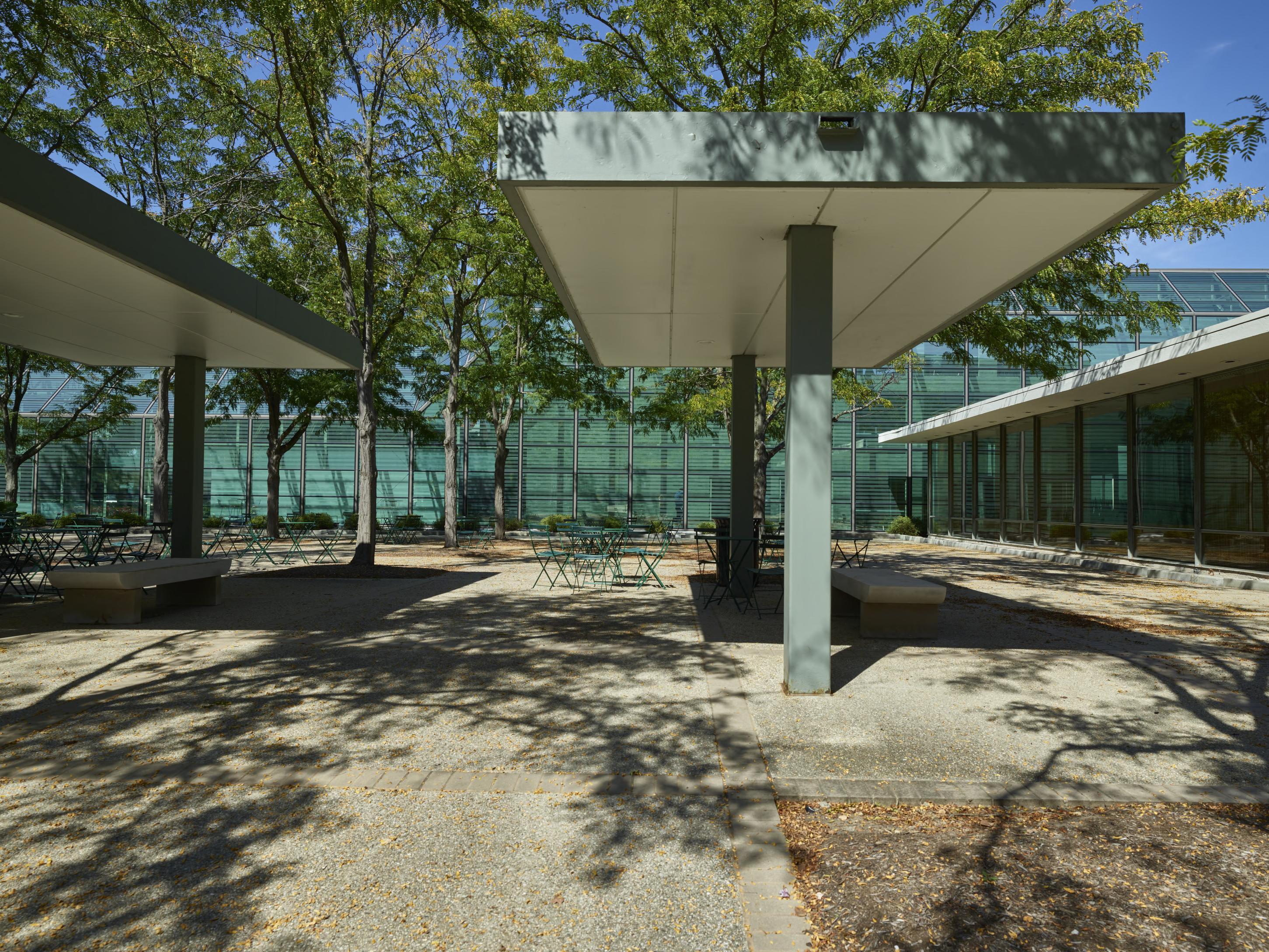 Публічні зображення джерела loc.gov