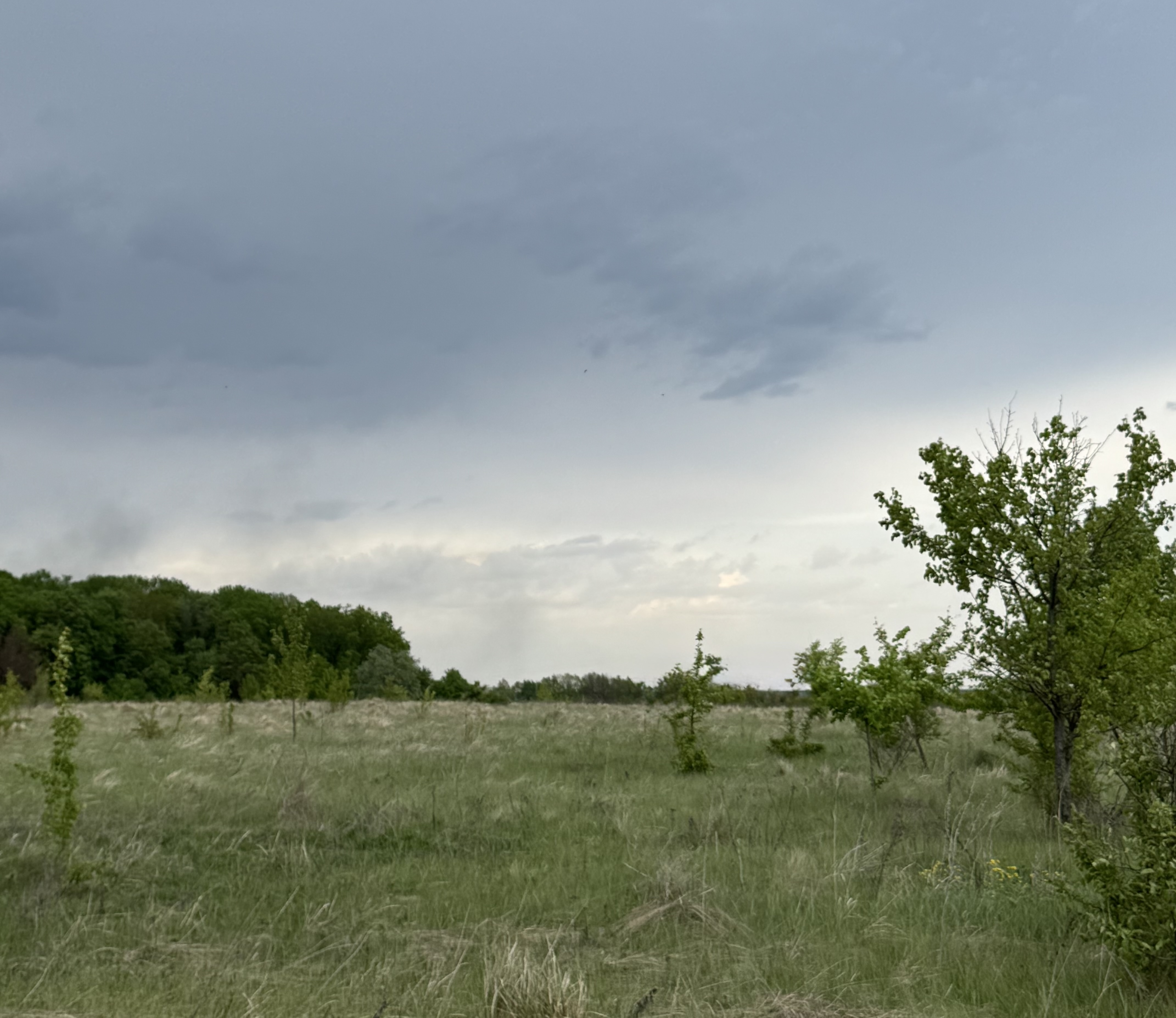 Центральна Європа